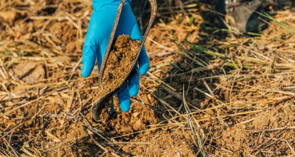 ziemia na&nbsp;łopatce